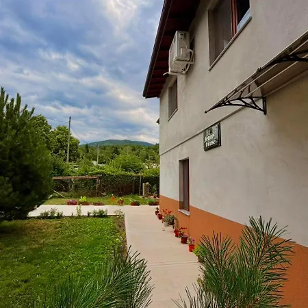 Jenny House Villa